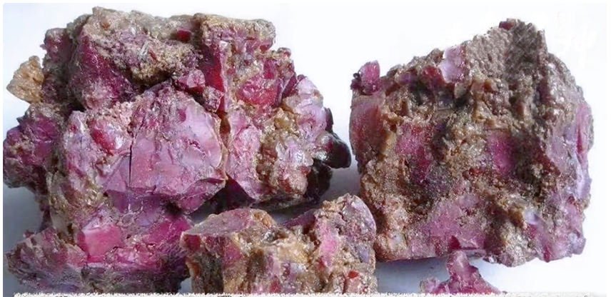 China customs broker for medicinal materials